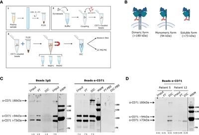 Antigen Discovery in Circulating Extracellular Vesicles From Plasmodium vivax Patients